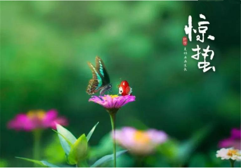 二十四節(jié)氣“驚蜇”都有哪些習(xí)俗？